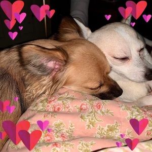 Meet your Posher, Angela